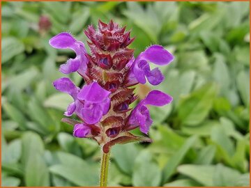Self Heal