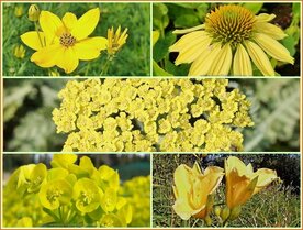 Quadratmeter Paket - Gelb - Square metre package - Yellow