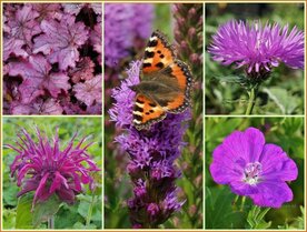 Quadratmeter Paket - Lila - Square metre package - Purple