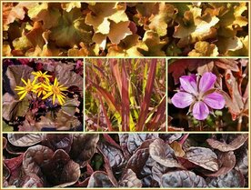 Quadratmeter Paket - Braun - Square metre package - Brown