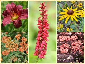 Quadratmeter Paket - Warm - Square metre pack - Warm