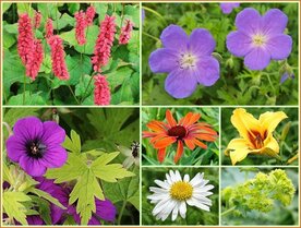 Quadratmeter Paket - Bunt - Square metre pack - Colourful