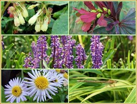 Quadratmeter Paket - Schatten - Square metre pack - Shade