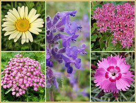 Quadratmeter Paket - Sonnig &amp; Trocken - Square metre pack - Sunny &amp; Dry