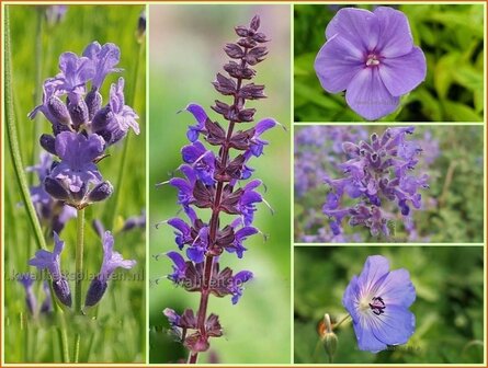 Quadratmeter Paket - Blau - Square metre package - Blue