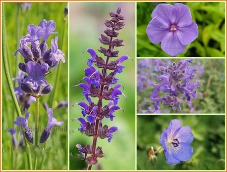 Quadratmeter Paket - Blau - Square metre package - Blue