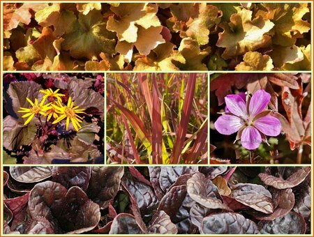 Quadratmeter Paket - Braun - Square metre package - Brown