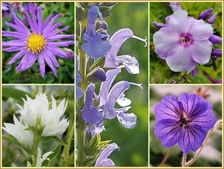 Quadratmeter Paket - Kühl - Square metre pack - Cool