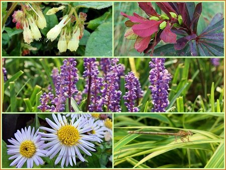 Quadratmeter Paket - Schatten - Square metre pack - Shade