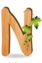DE-»-N